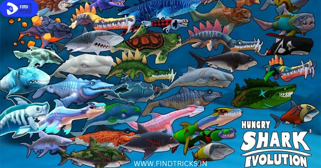 DIFFERENT SPECIES OF SHARKS